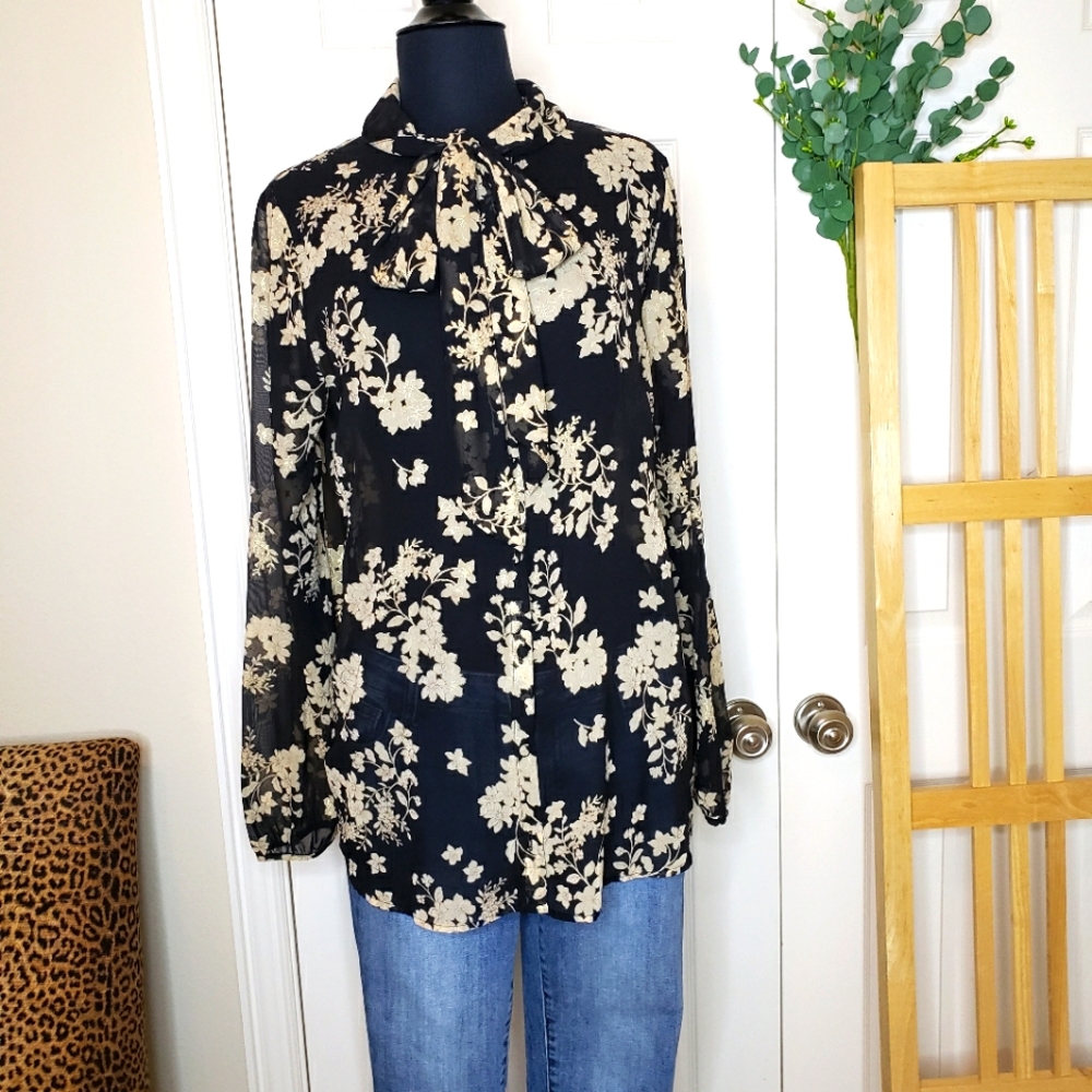 Sheer georgette tie neck blouse from show me your mumu